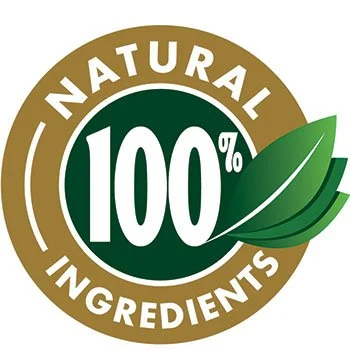 DigestiStart DigestiStart all natural ingredients